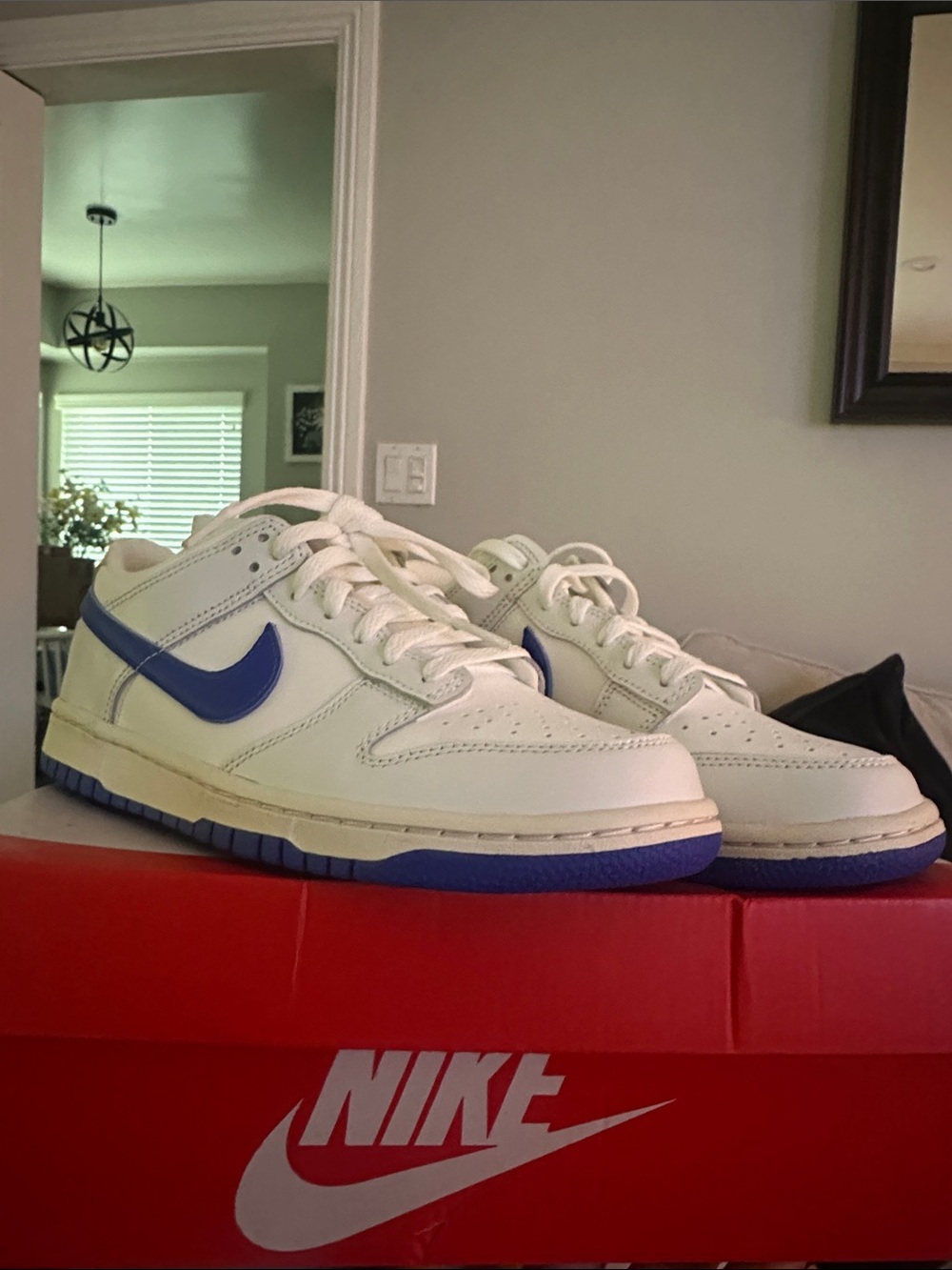 Nike Men’s Low-Top Sneakers in White and Blue